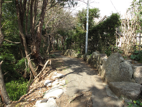 20180223hike (14)